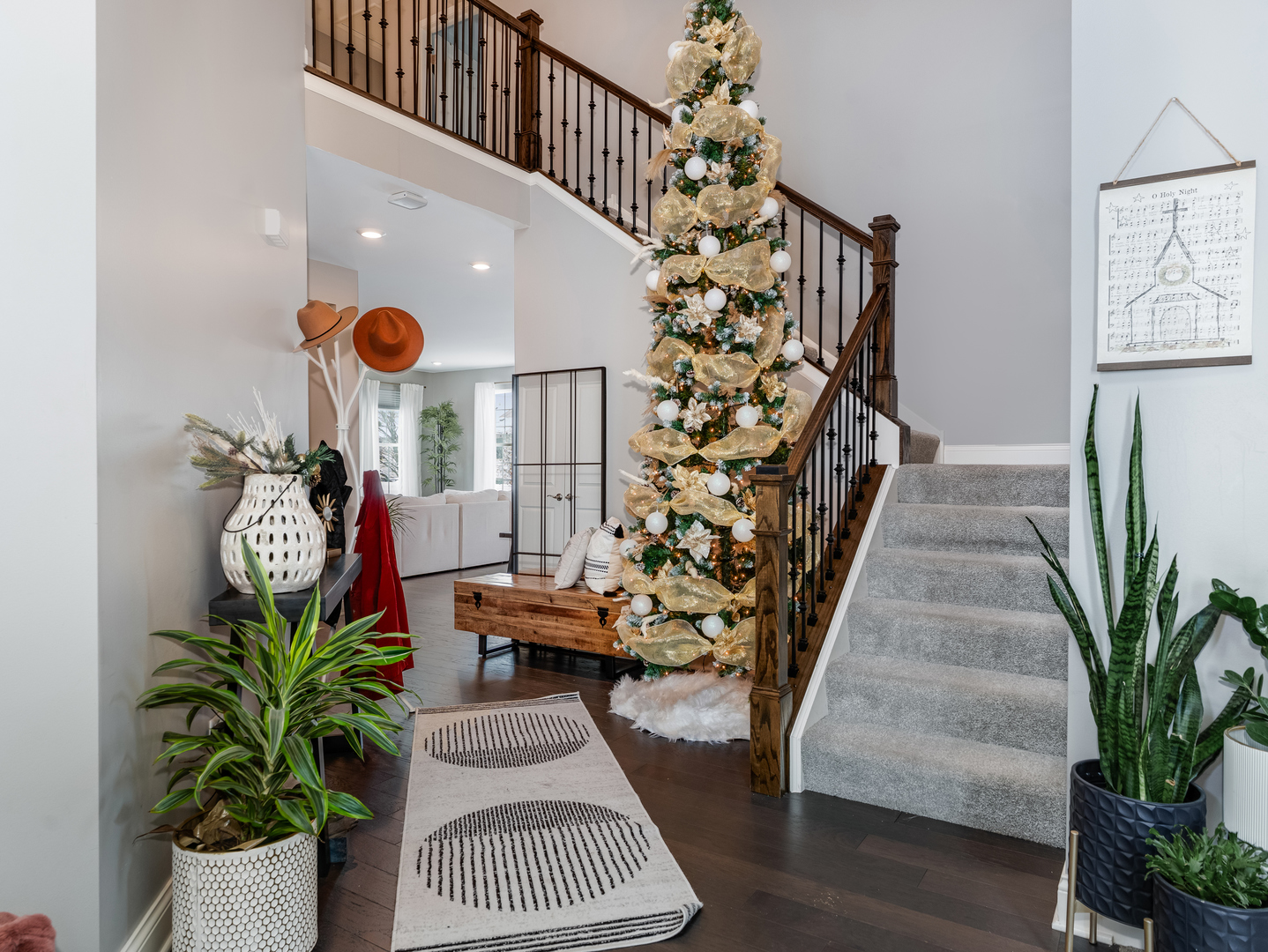 707 Long Ridge Trail Minooka, IL 60447 - Photo 2 of 39 a entryway with furniture and a potted plant