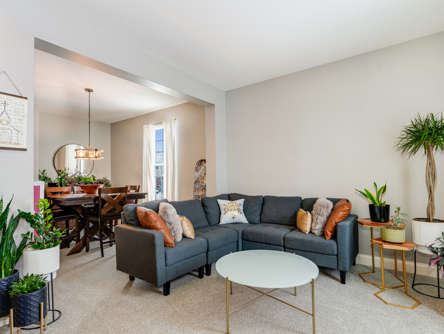 707 Long Ridge Trail Minooka, IL 60447 - Photo 3 of 39 a living room with furniture potted plant and a window