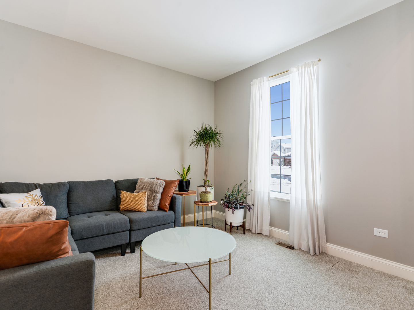 707 Long Ridge Trail Minooka, IL 60447 - Photo 5 of 39 a living room with furniture and a potted plant