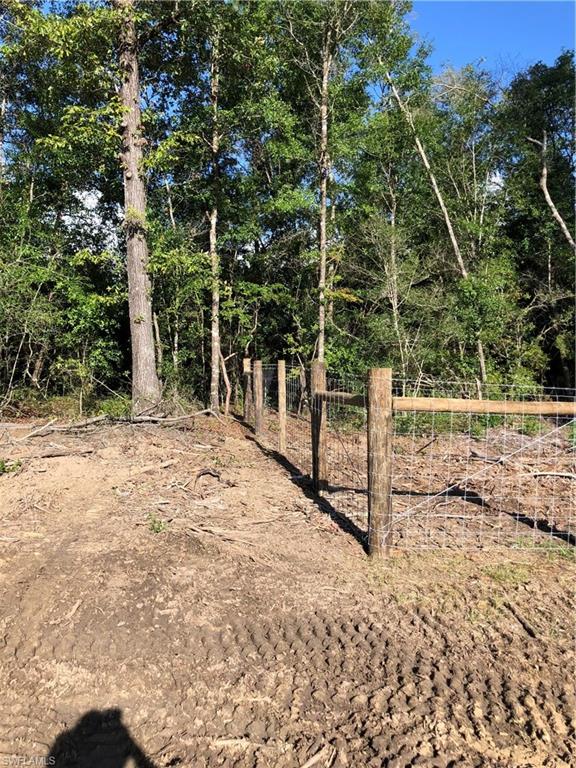 1669 Lawrence Road Bonifay, FL 32425 - Photo 11 of 15 Gallery Image 11
