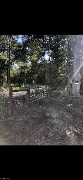 1669 Lawrence Road Bonifay, FL 32425 - Photo 12 of 15 Gate