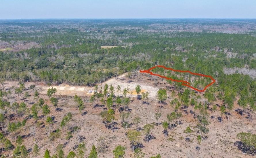 1669 Lawrence Road Bonifay, FL 32425 - Photo 15 of 15 Aerial overview of property's location featuring property boundaries highlighted and a heavily wooded area