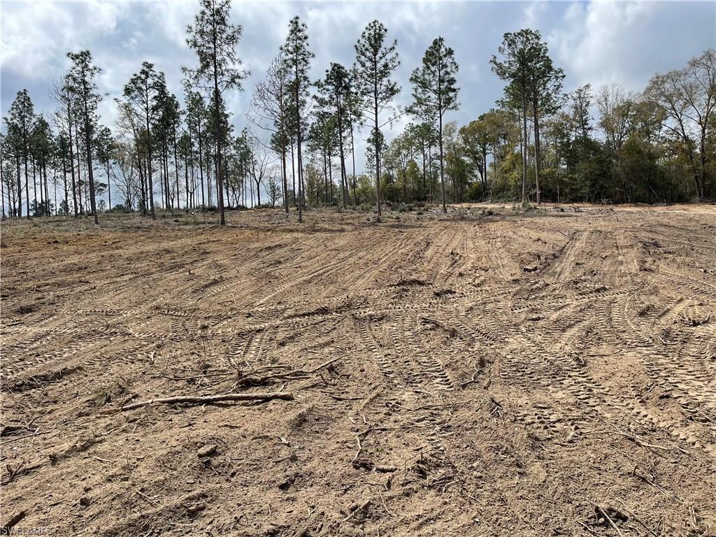1669 Lawrence Road Bonifay, FL 32425 - Photo 4 of 15 Gallery Image 4