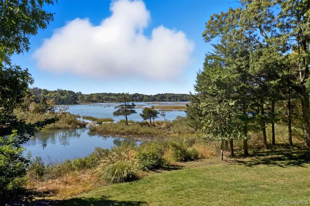 a view of a lake with houses in the background