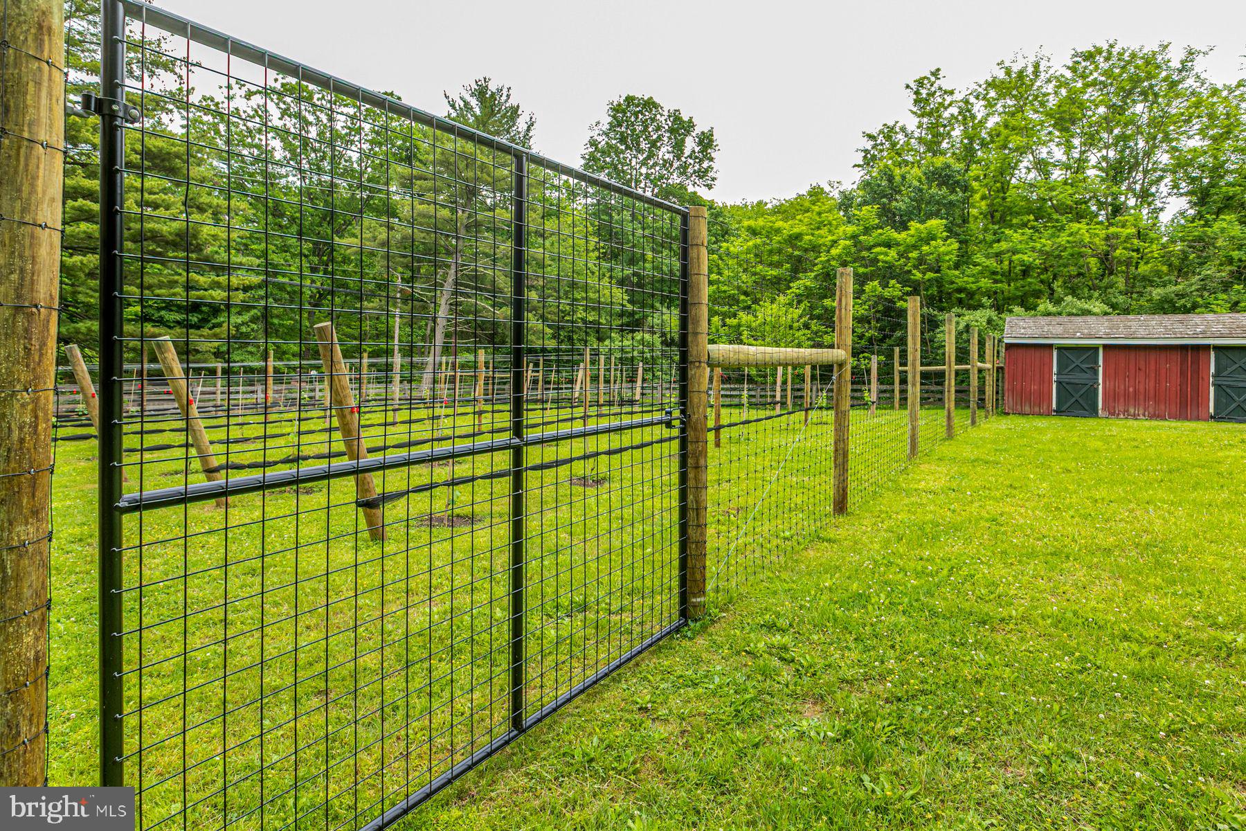 5280 Province Line Road Princeton, NJ 08540 - Photo 54 of 62