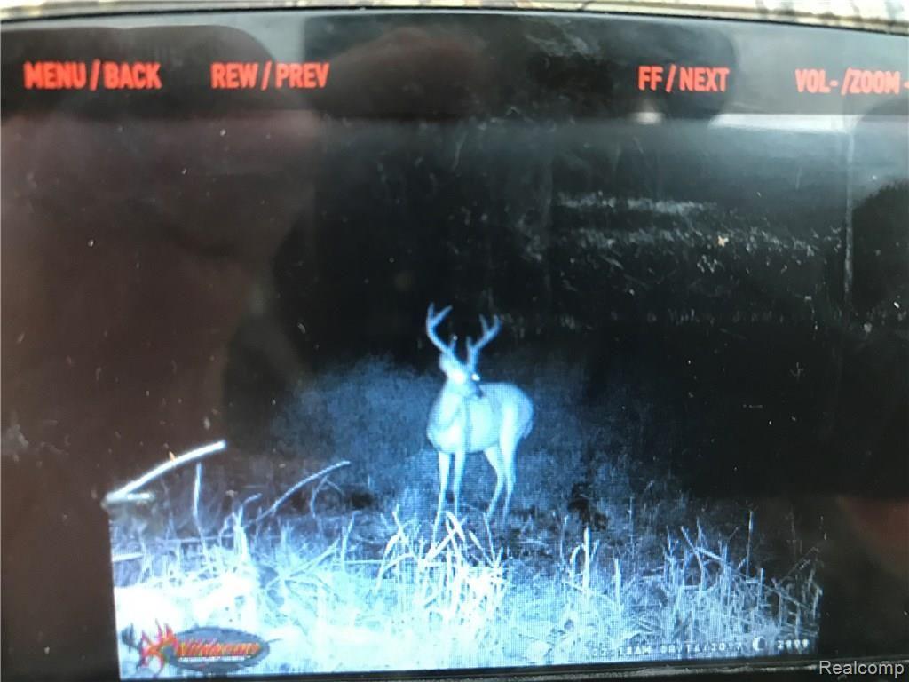 5796 Milett Road Fowlerville, MI 48836 - Photo 58 of 61 5796 trail cam 8.jpg