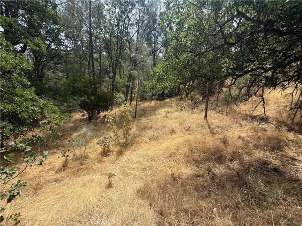 a view of a yard covered in snow