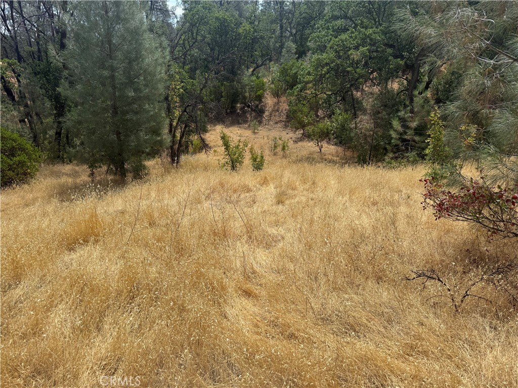 16295 Hillcrest Drive Corning, CA 96021 - Photo 4 of 5 a view of a yard