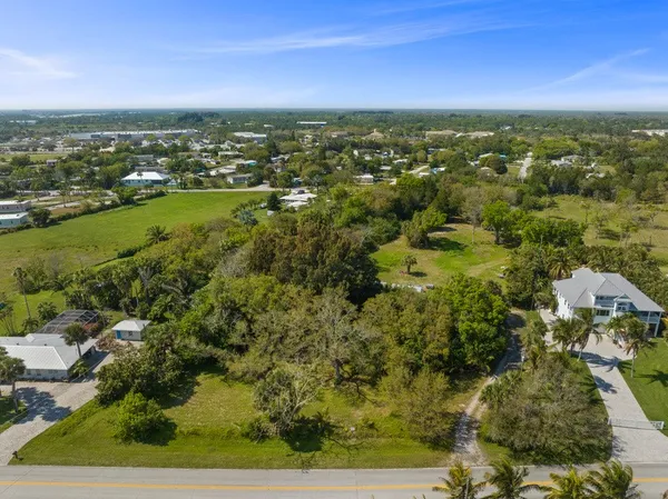 a view of a room with lots of bushes