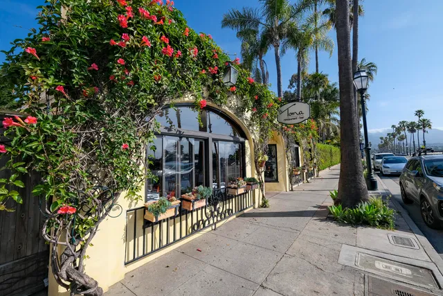 a view of a pathway of a house with a tree