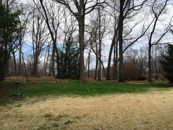 167 Carriage Road Chicopee, MA 01013 - Photo 3 of 12 Gallery Image 3