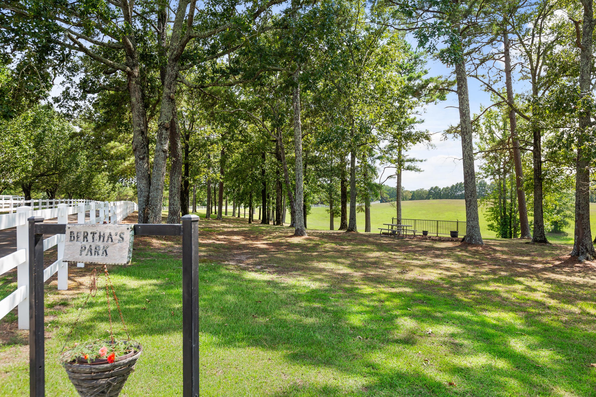 304 Southwest County 182 Road Cedar Bluff, AL 35959 - Photo 15 of 70