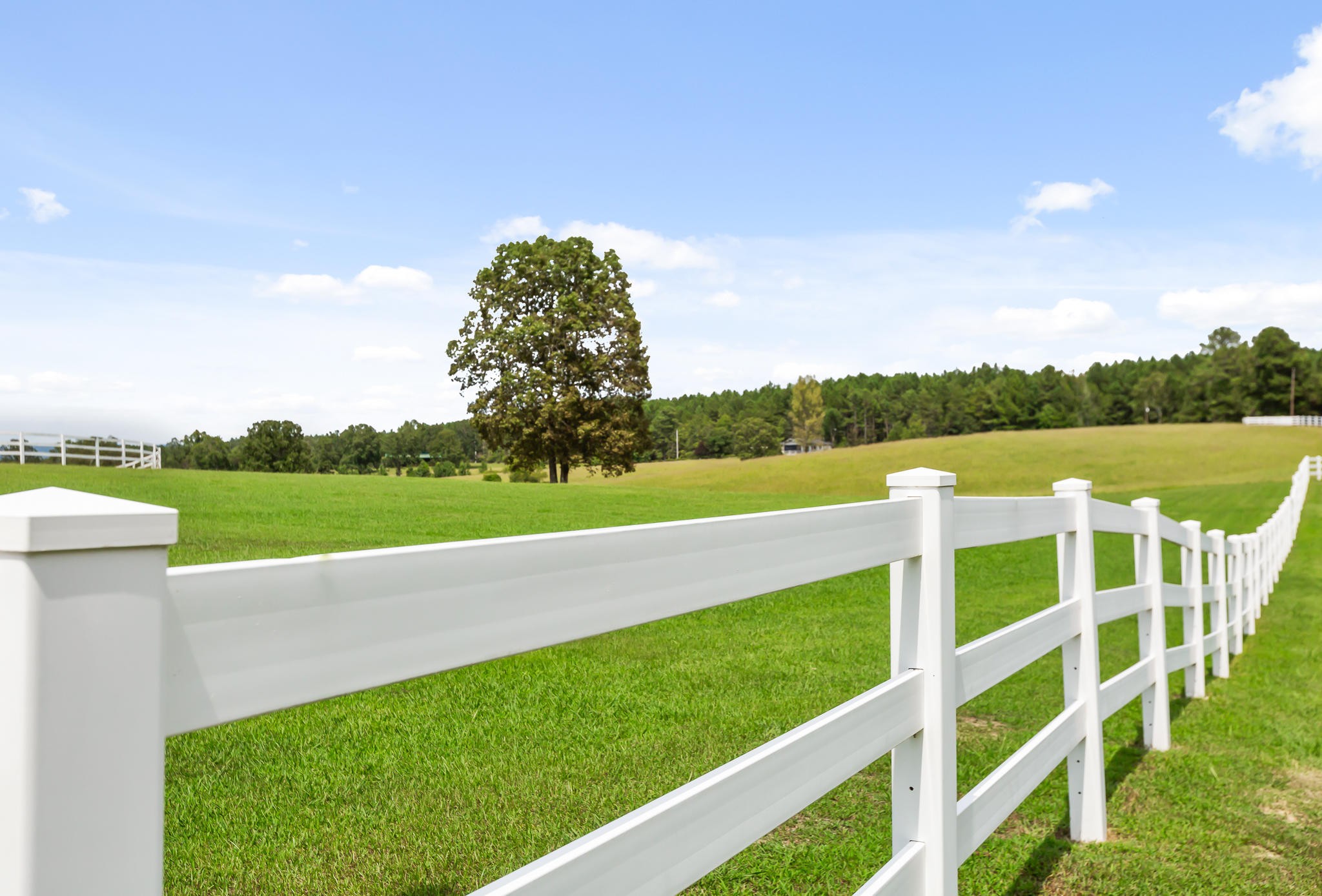 304 Southwest County 182 Road Cedar Bluff, AL 35959 - Photo 16 of 70