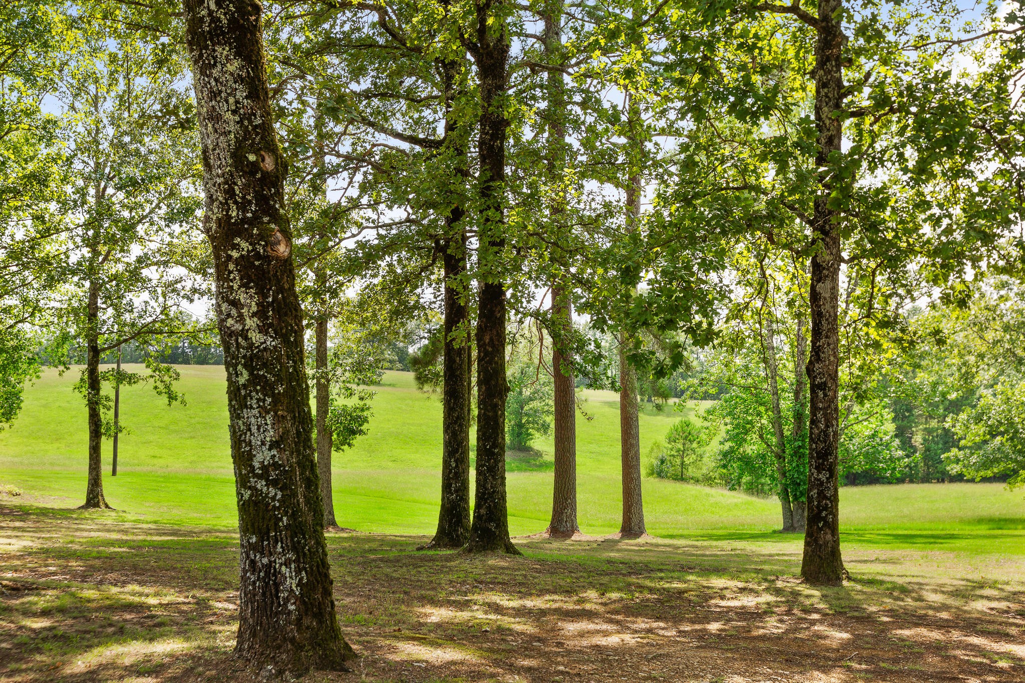 304 Southwest County 182 Road Cedar Bluff, AL 35959 - Photo 55 of 70