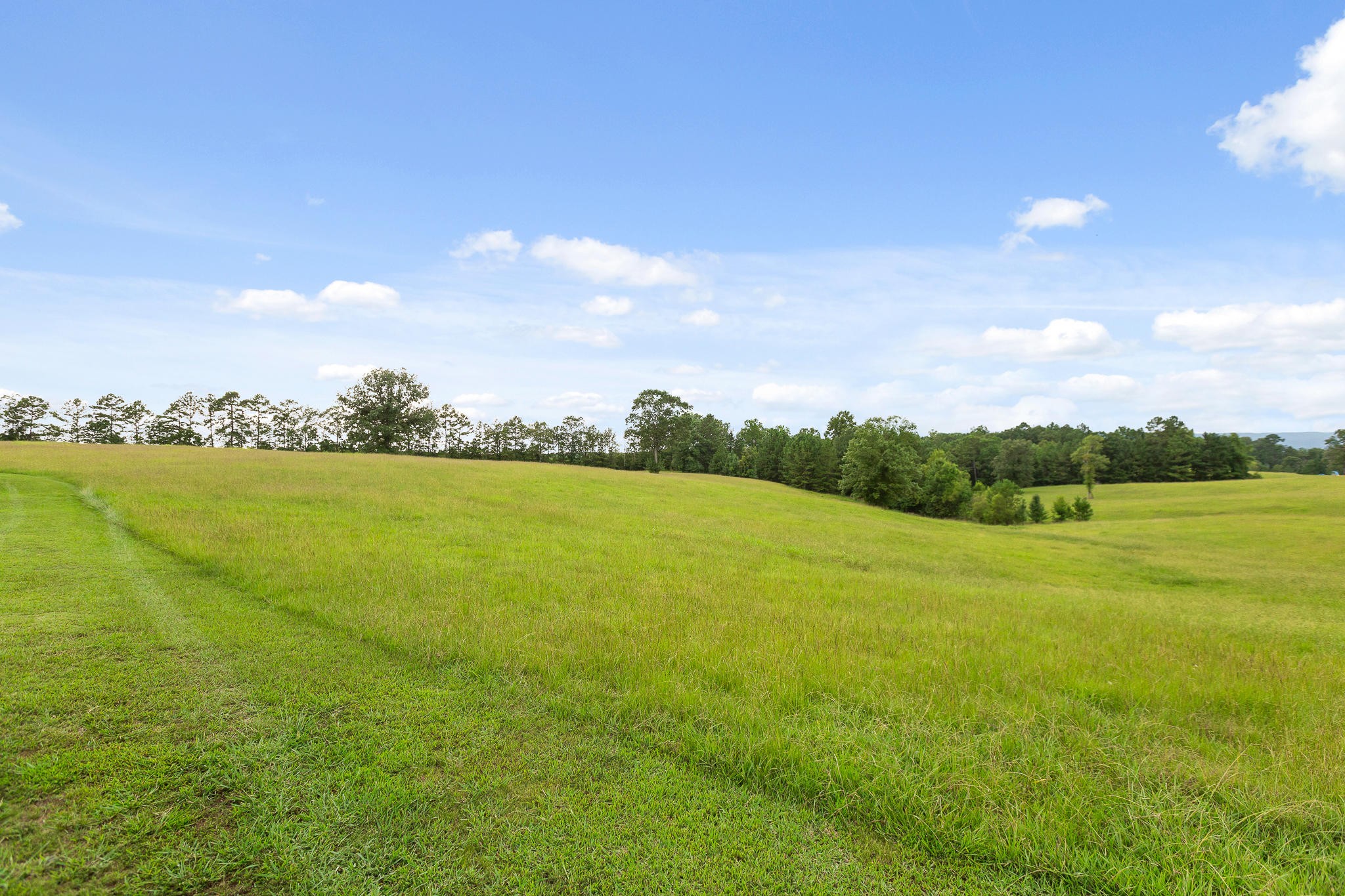 304 Southwest County 182 Road Cedar Bluff, AL 35959 - Photo 57 of 70