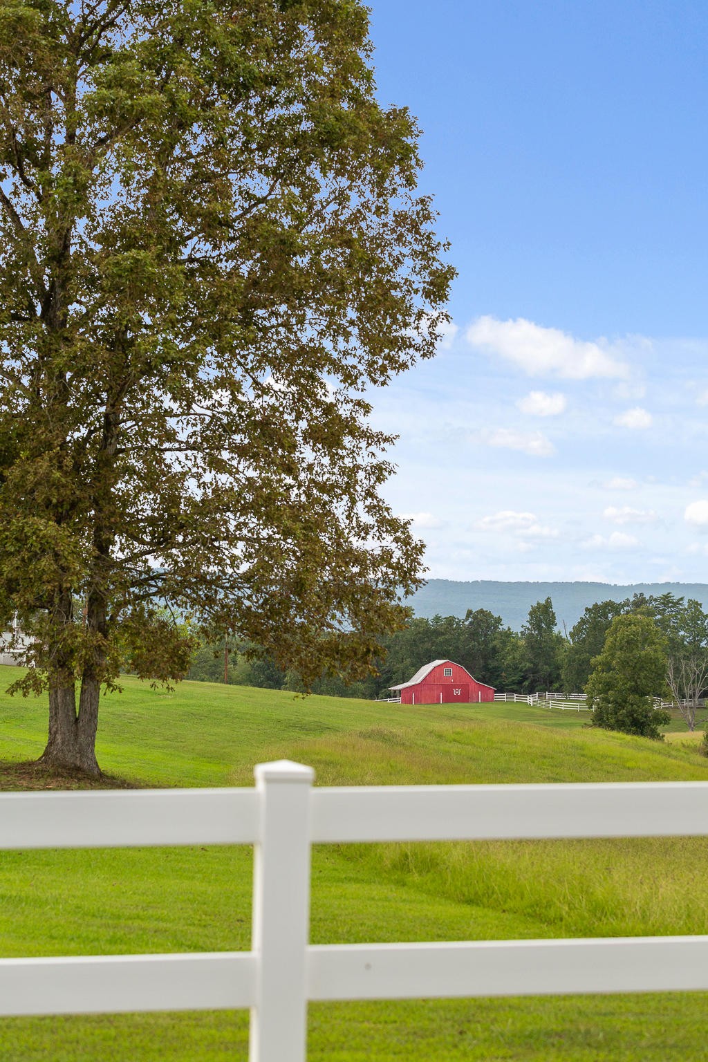 304 Southwest County 182 Road Cedar Bluff, AL 35959 - Photo 58 of 70