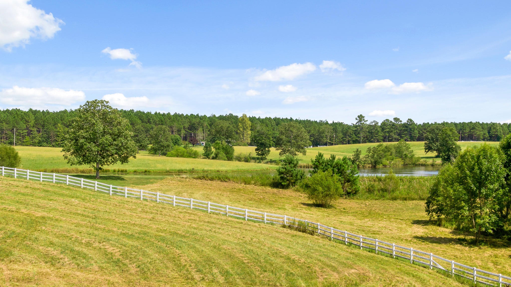 304 Southwest County 182 Road Cedar Bluff, AL 35959 - Photo 61 of 70