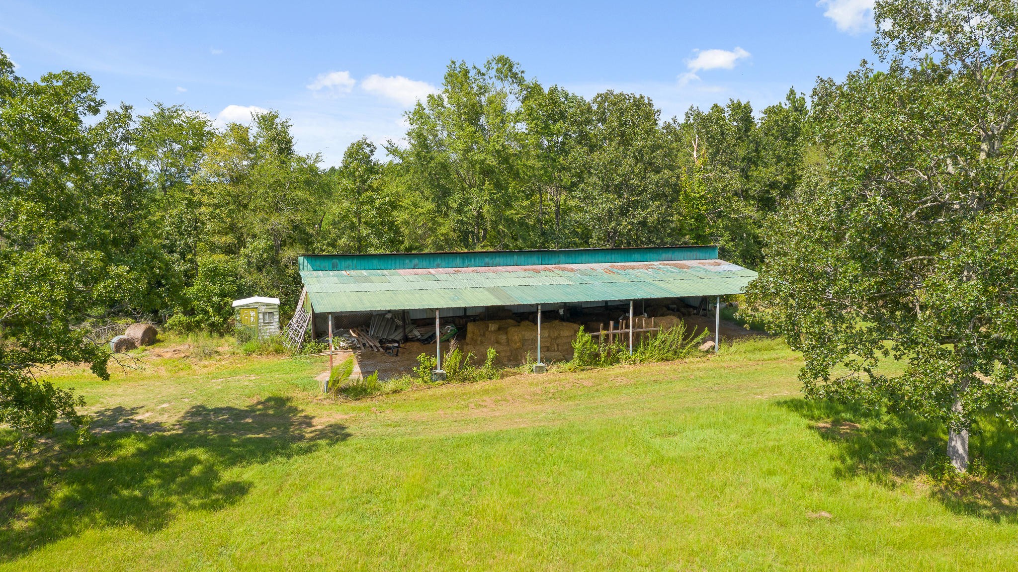 304 Southwest County 182 Road Cedar Bluff, AL 35959 - Photo 62 of 70