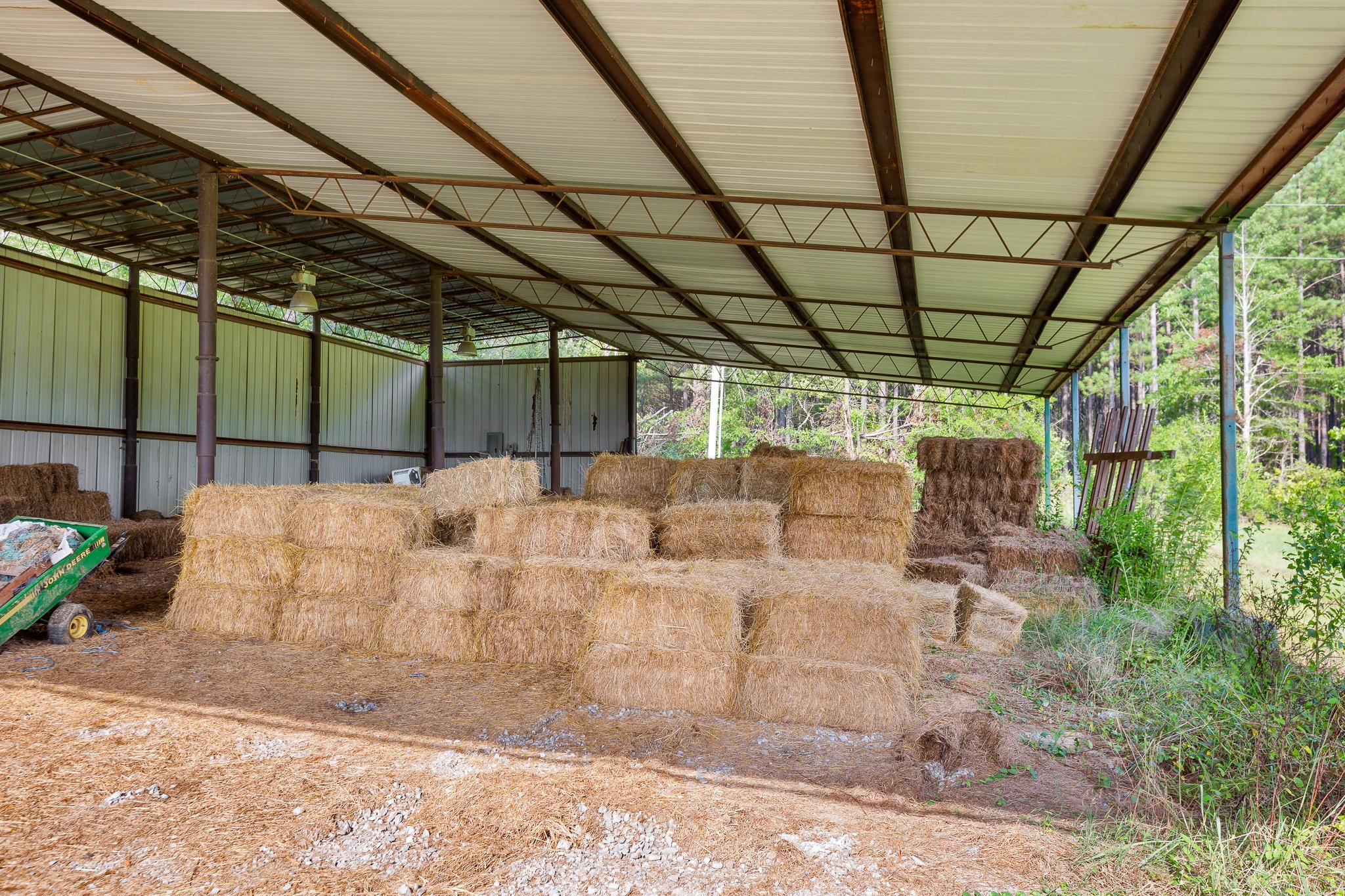 304 Southwest County 182 Road Cedar Bluff, AL 35959 - Photo 63 of 70