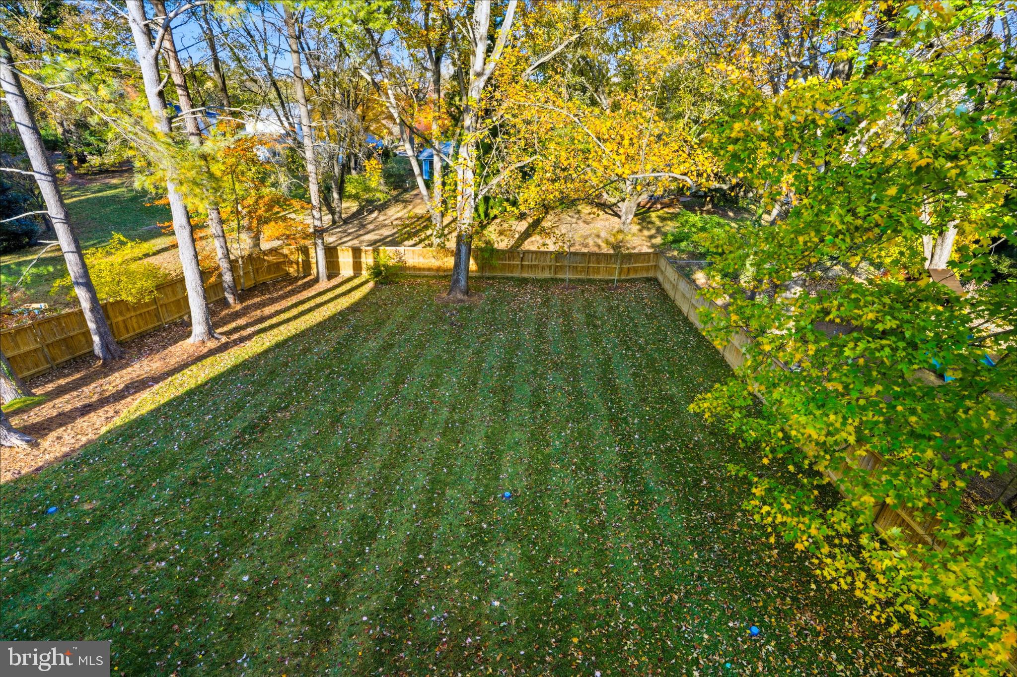 9408 Old Courthouse Road Vienna, VA 22182 - Photo 89 of 92 Lush, serene backyard with autumn hues.