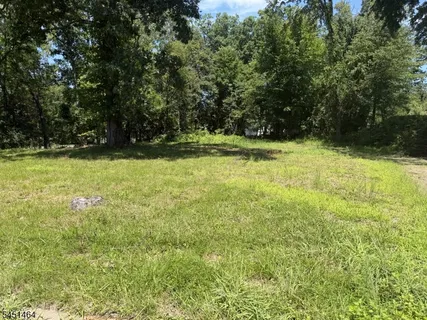 a view of a yard