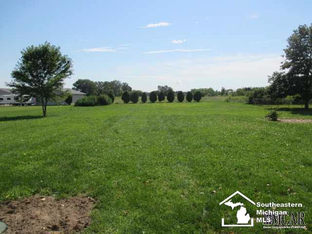 1098 Baldwin Road Monroe, MI 48162 - Photo 3 of 13