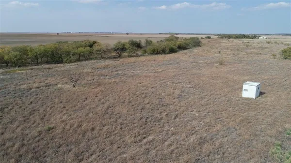 a view of a dry yard with trees