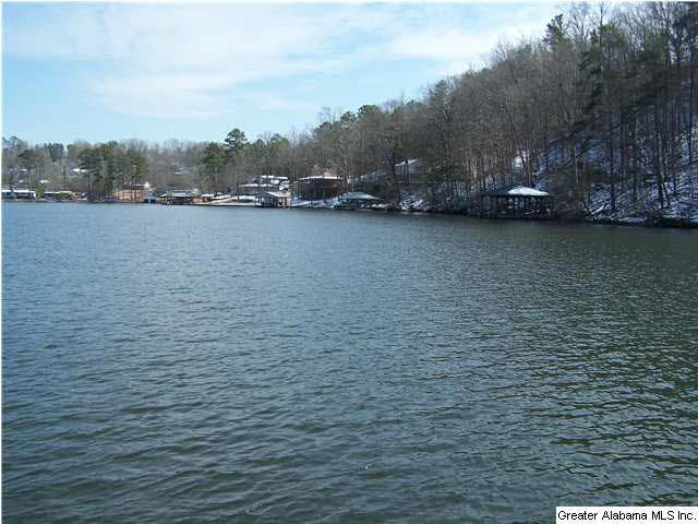 301 Lakeshore Loop Oneonta, AL 35121 - Photo 6 of 32 Gallery Image 6
