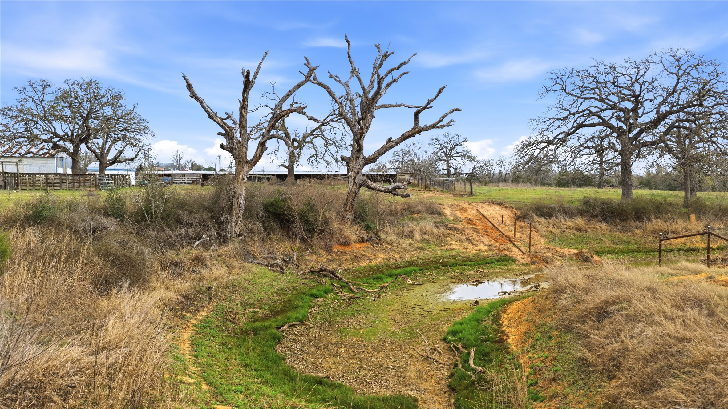 369 Young School House Road Smithville, TX 78957 - Photo 5 of 30 View of yard with a view of countryside