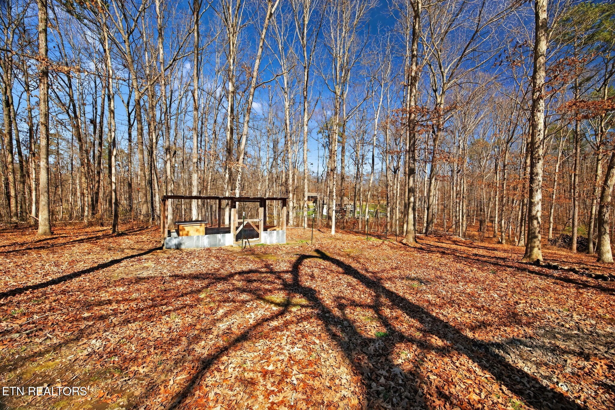 1112 North Shady Ln Loop Clarkrange, TN 38553 - Photo 30 of 37