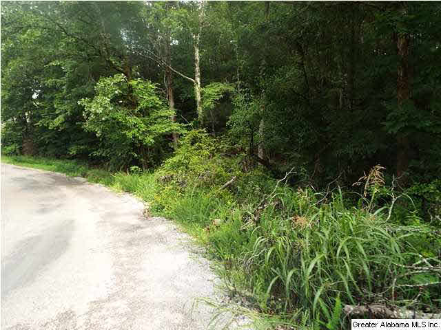 Holiday Drive, Unit 16 17 Ragland, AL 35131 - Photo 2 of 8