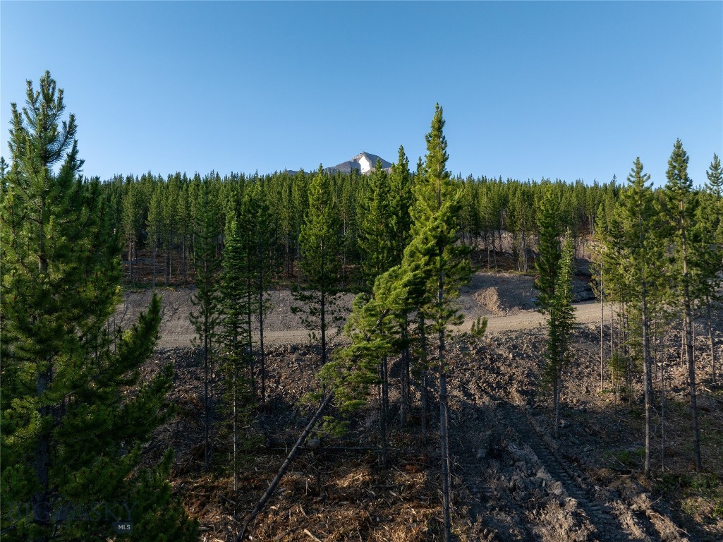 Tbd Tbd Sawtooth Road Big Sky, MT 59716 - Photo 4 of 5 Gallery Image 4