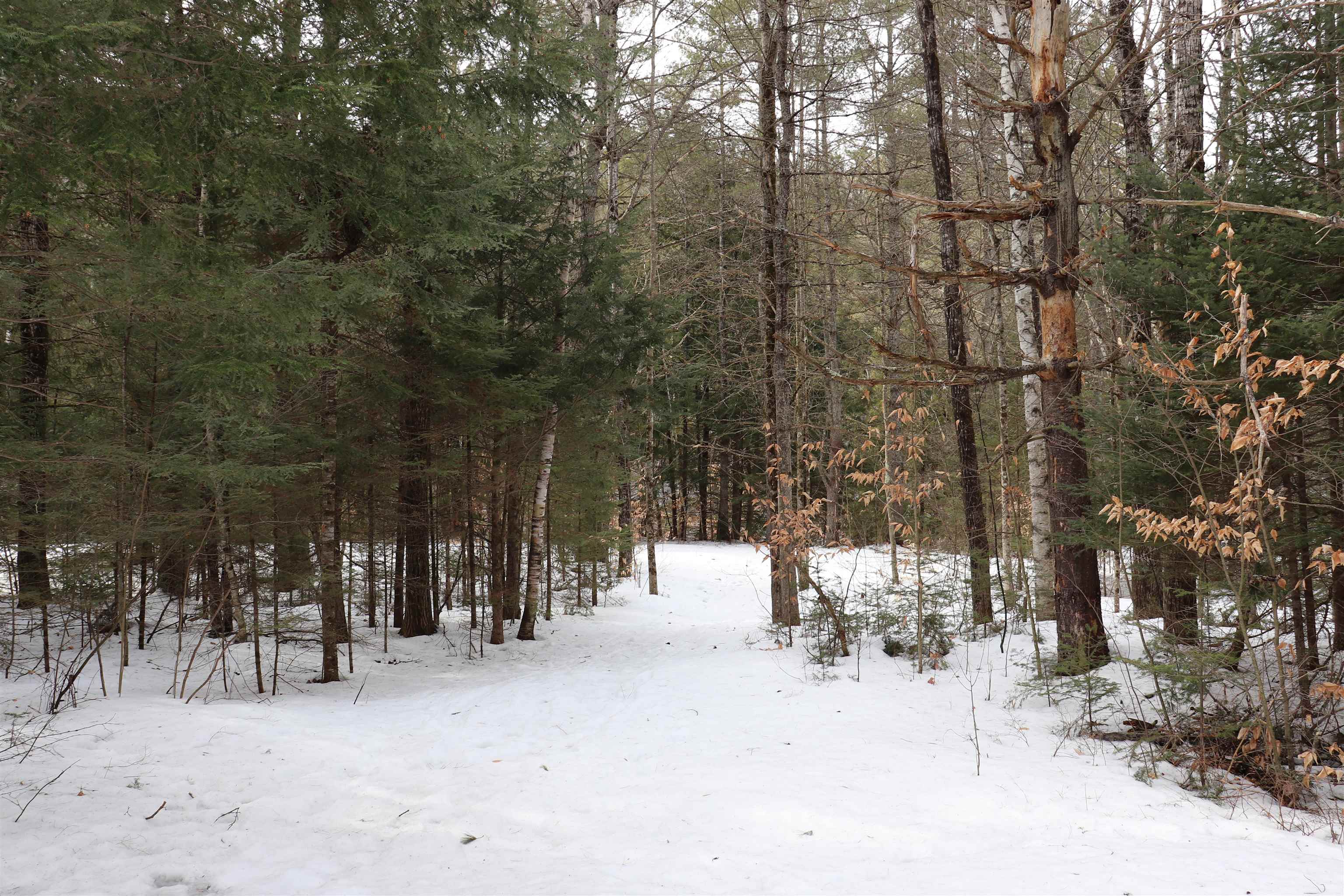 47 Wing Road Bethlehem, NH 03574 - Photo 4 of 20