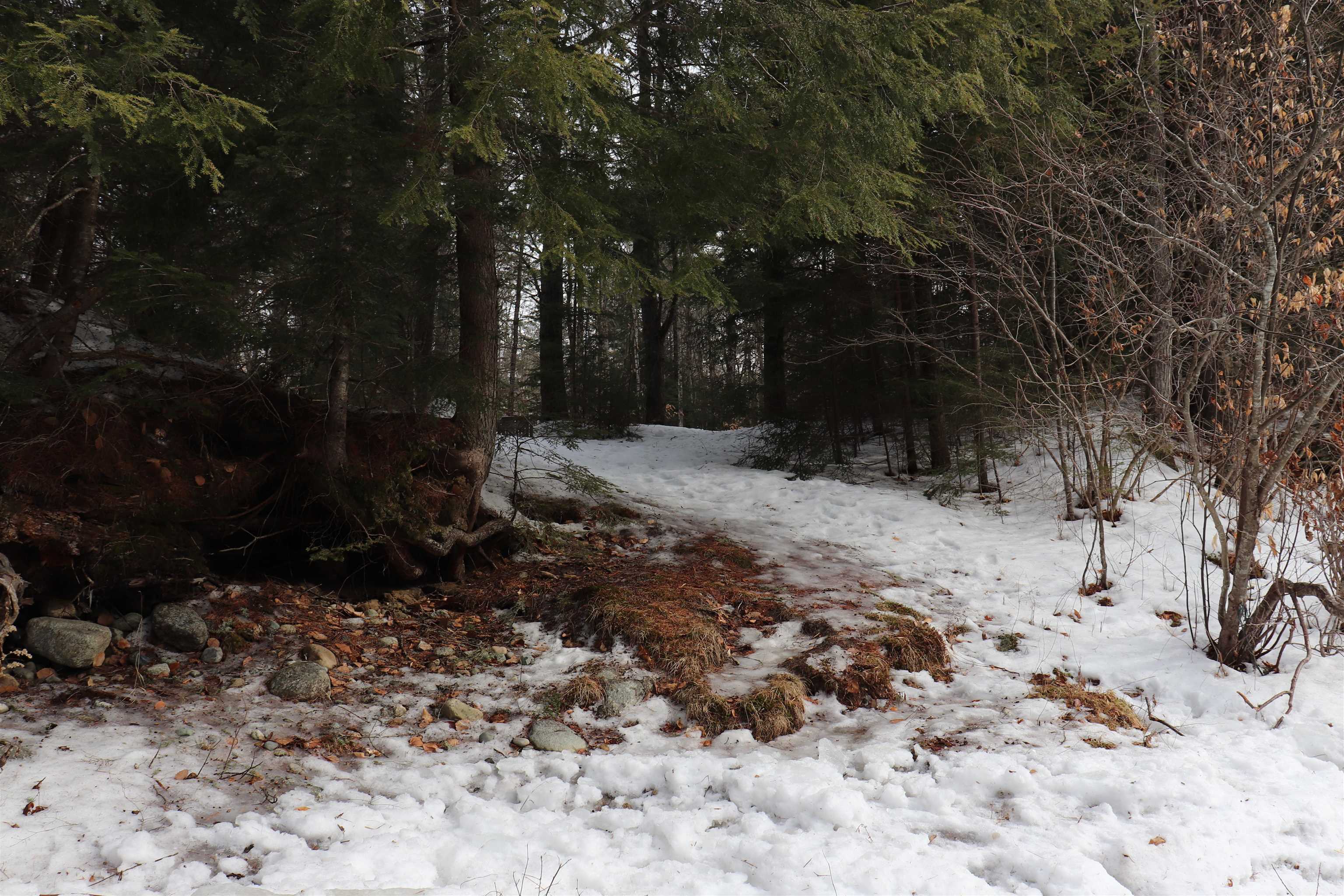 47 Wing Road Bethlehem, NH 03574 - Photo 7 of 20