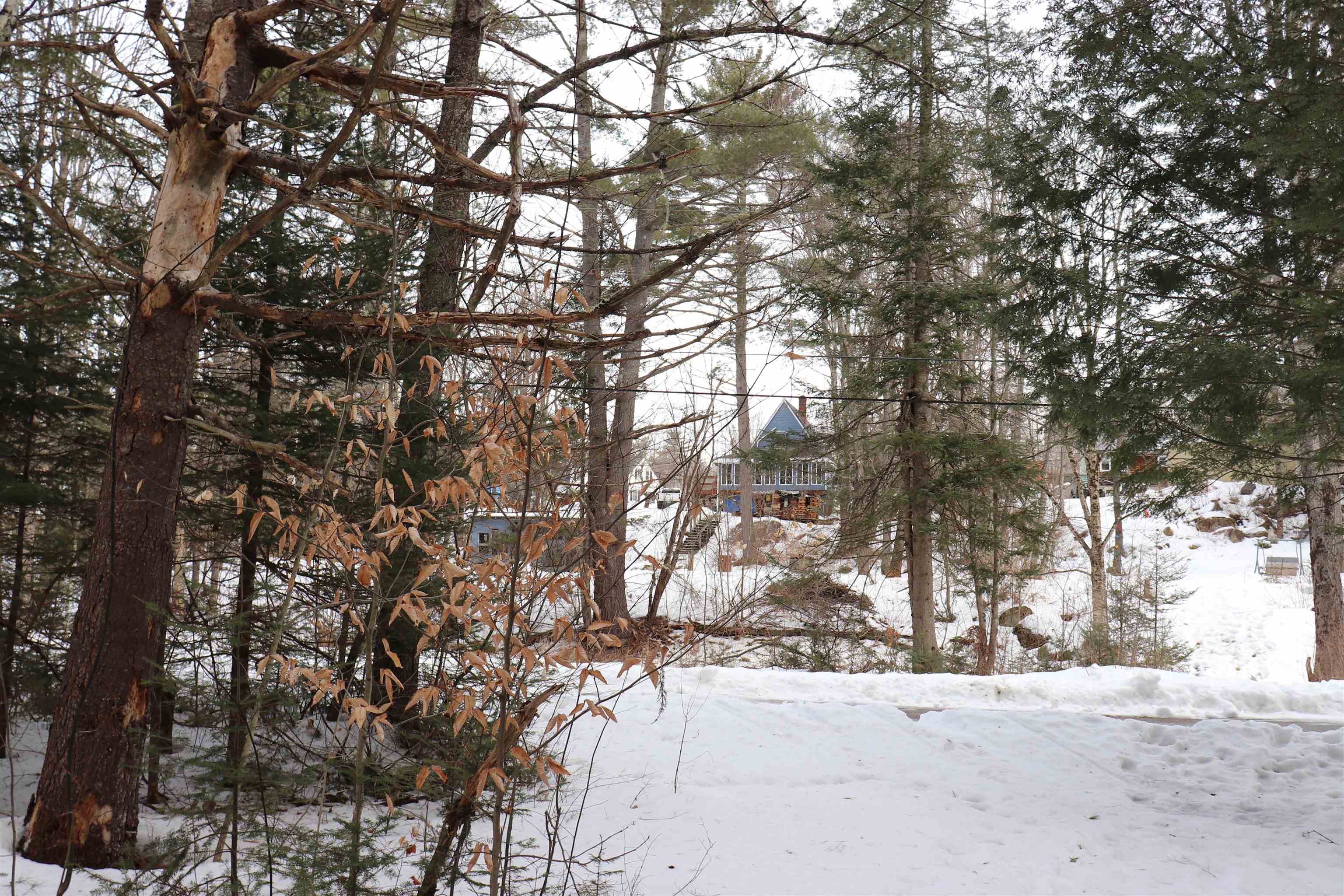 47 Wing Road Bethlehem, NH 03574 - Photo 8 of 20