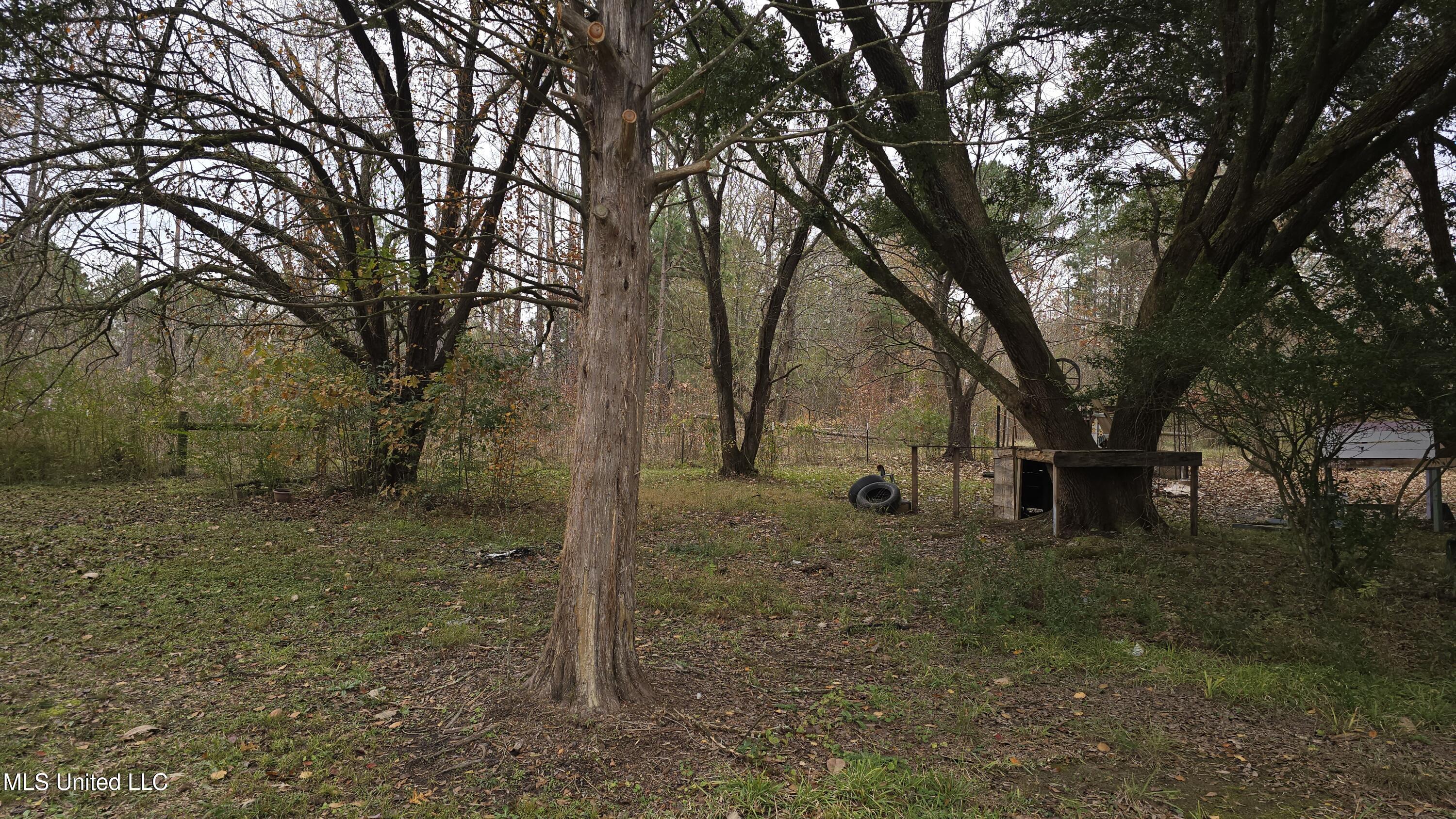 6427 Highway 33 Roxie Ms 39661 Roxie, MS 39661 - Photo 25 of 29 20251217_111530