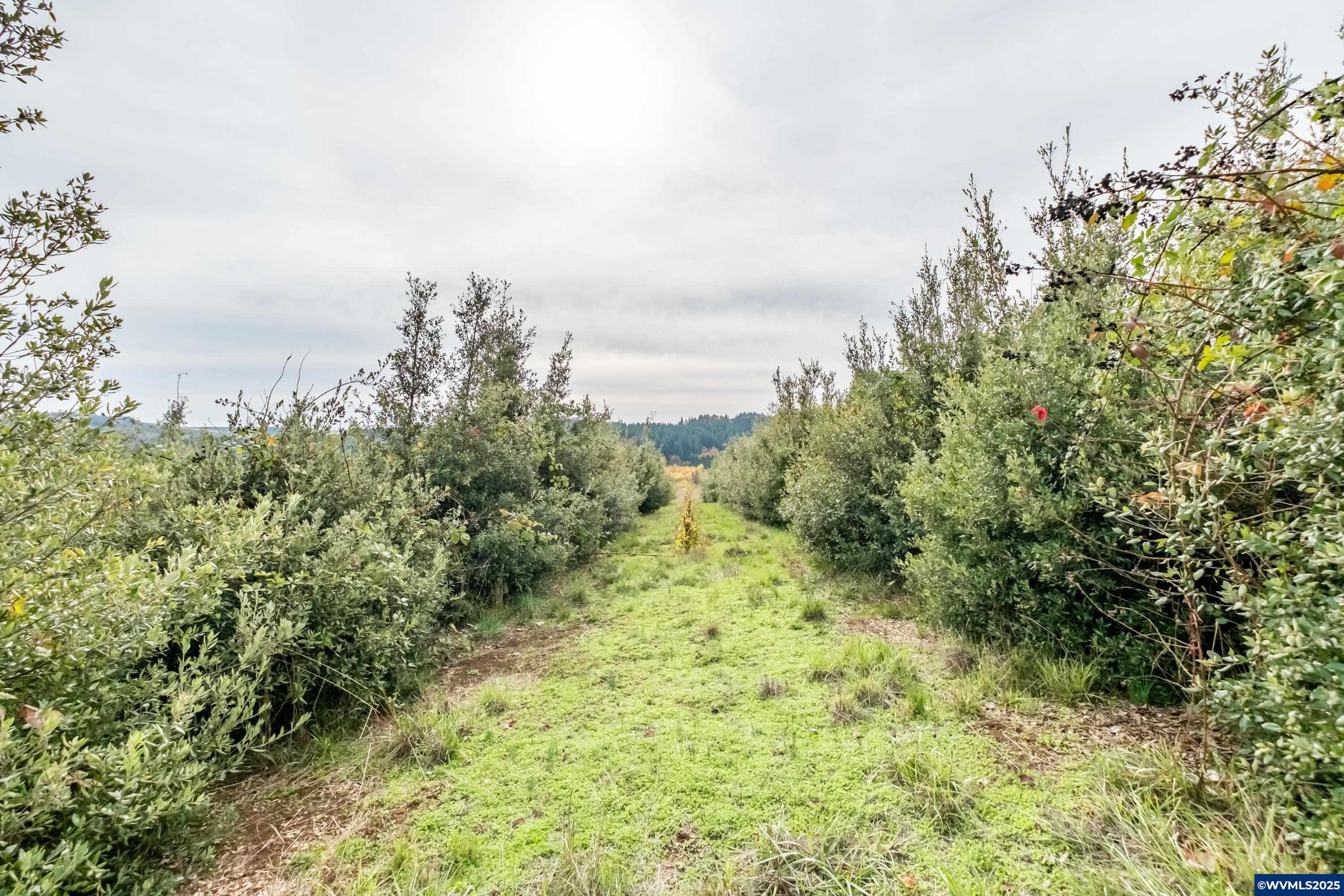 2535 Liberty Road Dallas, OR 97338 - Photo 19 of 50