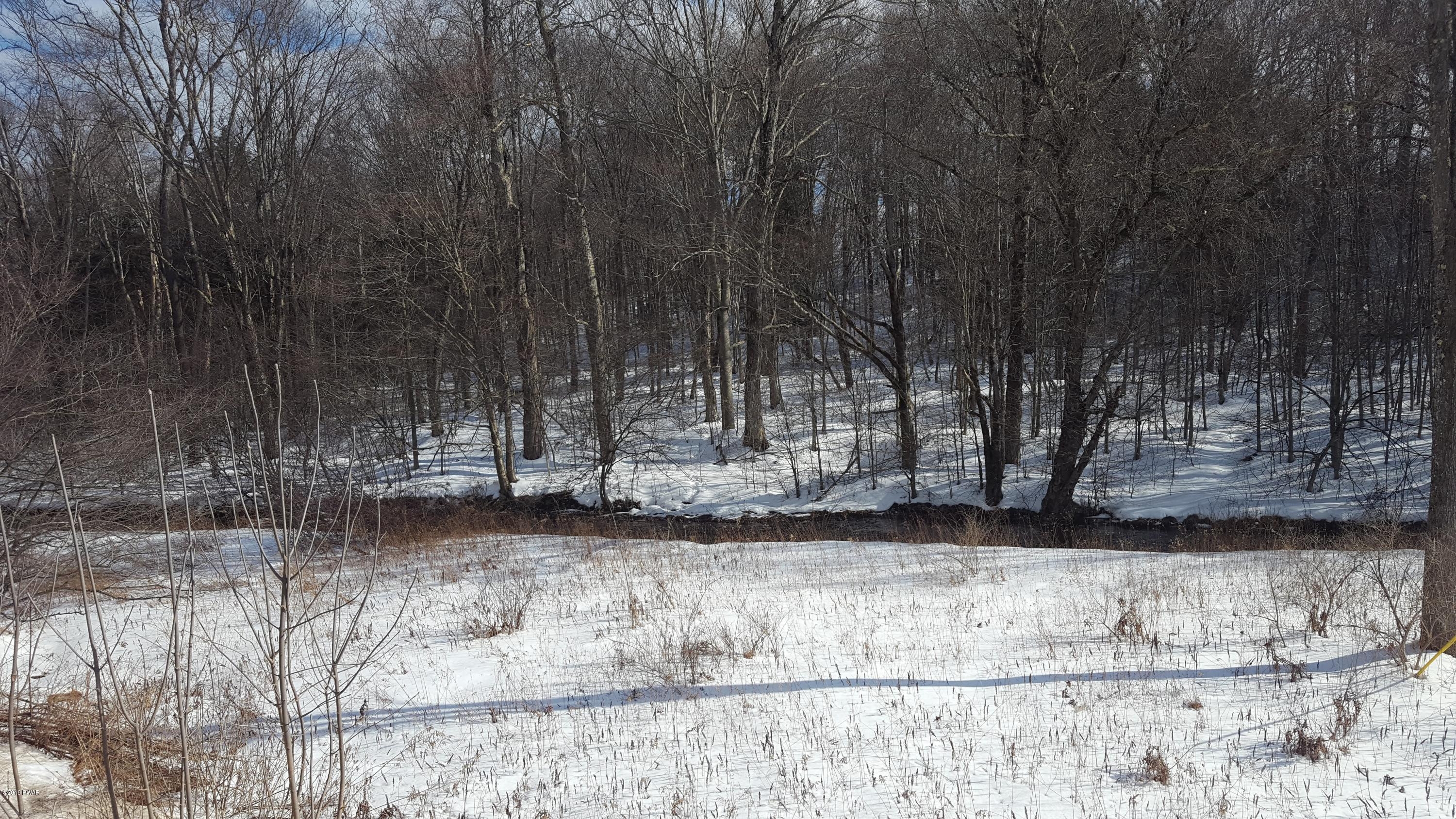 47 Creek Road Equinunk, PA 18417 - Photo 22 of 24 Looking towards creek