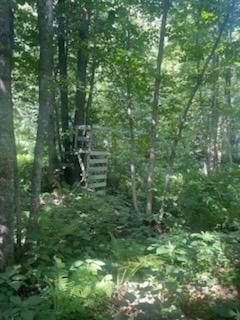Tbd Whitewater Road Emily, MN 56447 - Photo 5 of 7 Gallery Image 5