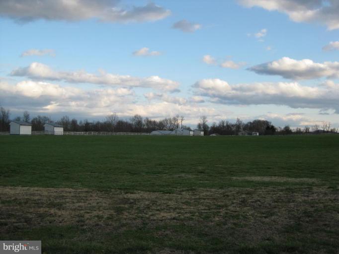 22156 Sam Fred Road Middleburg, VA 20117 - Photo 4 of 8 Polo Field
