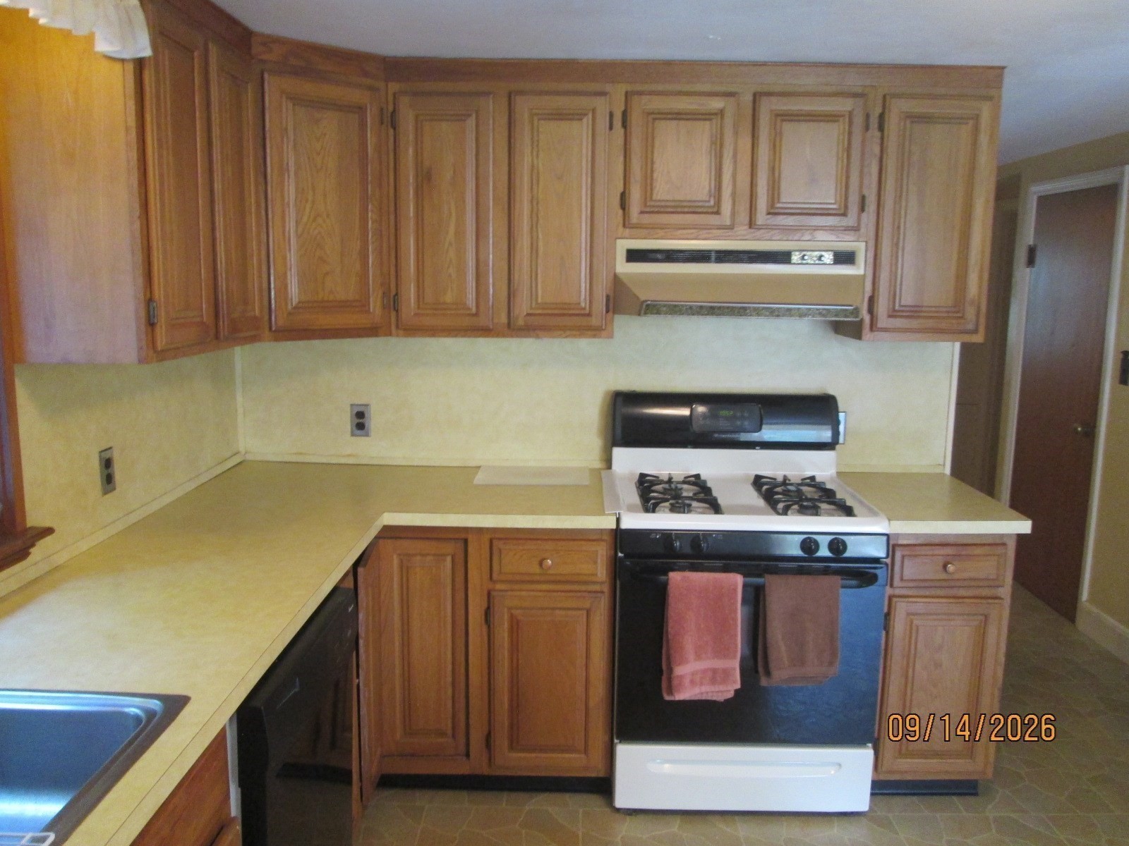 Gallery Image 7