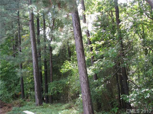 488 Grier Lesslie Road Rock Hill, SC 29730 - Photo 6 of 8 Gallery Image 6