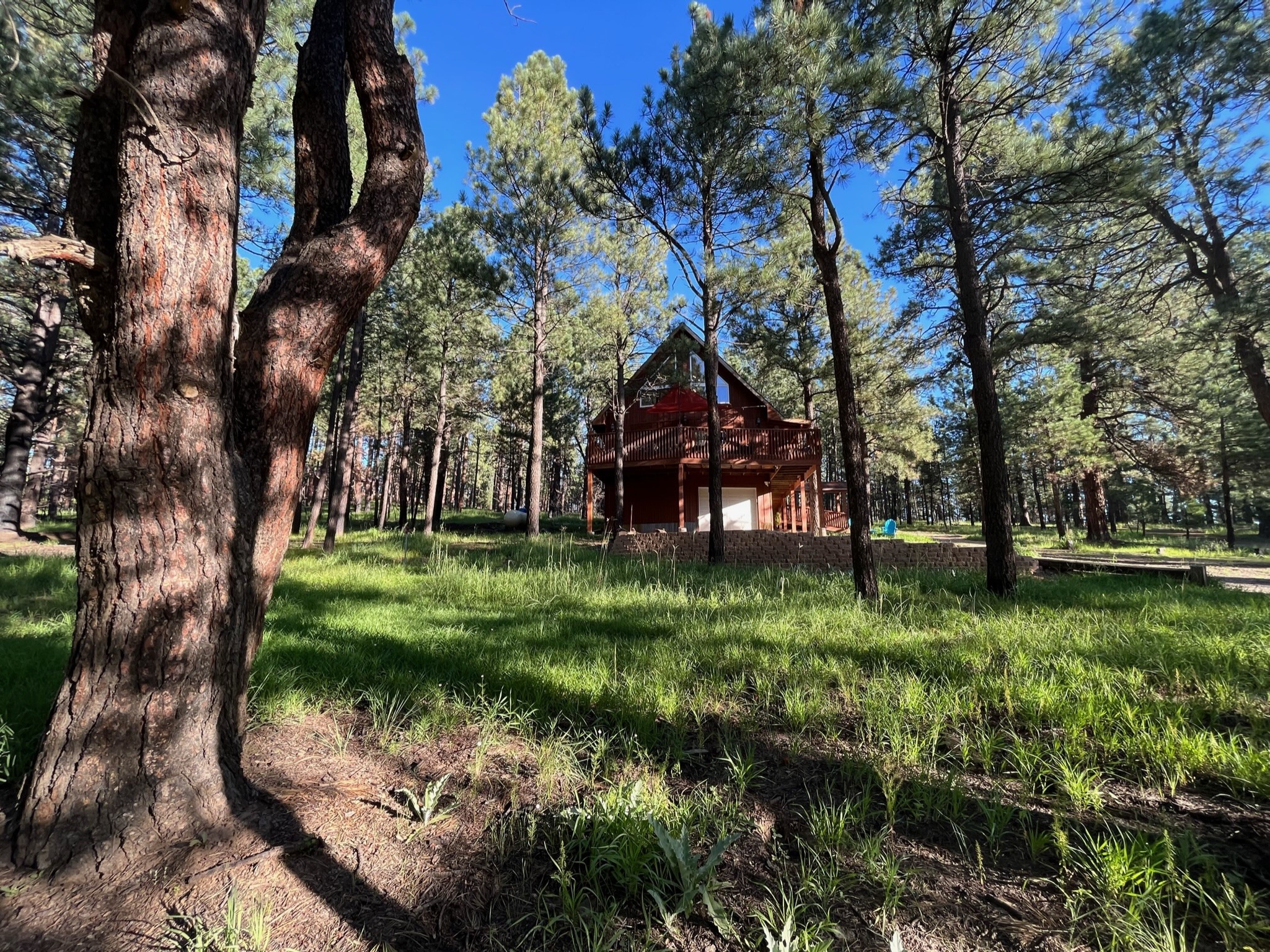 16 Forest Drive West Rociada, NM 87742 - Photo 31 of 52