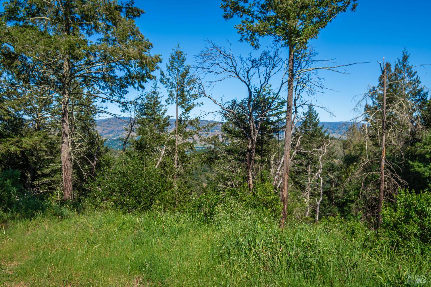 0 Dry Creek Road Napa, CA 94558 - Photo 98 of 98