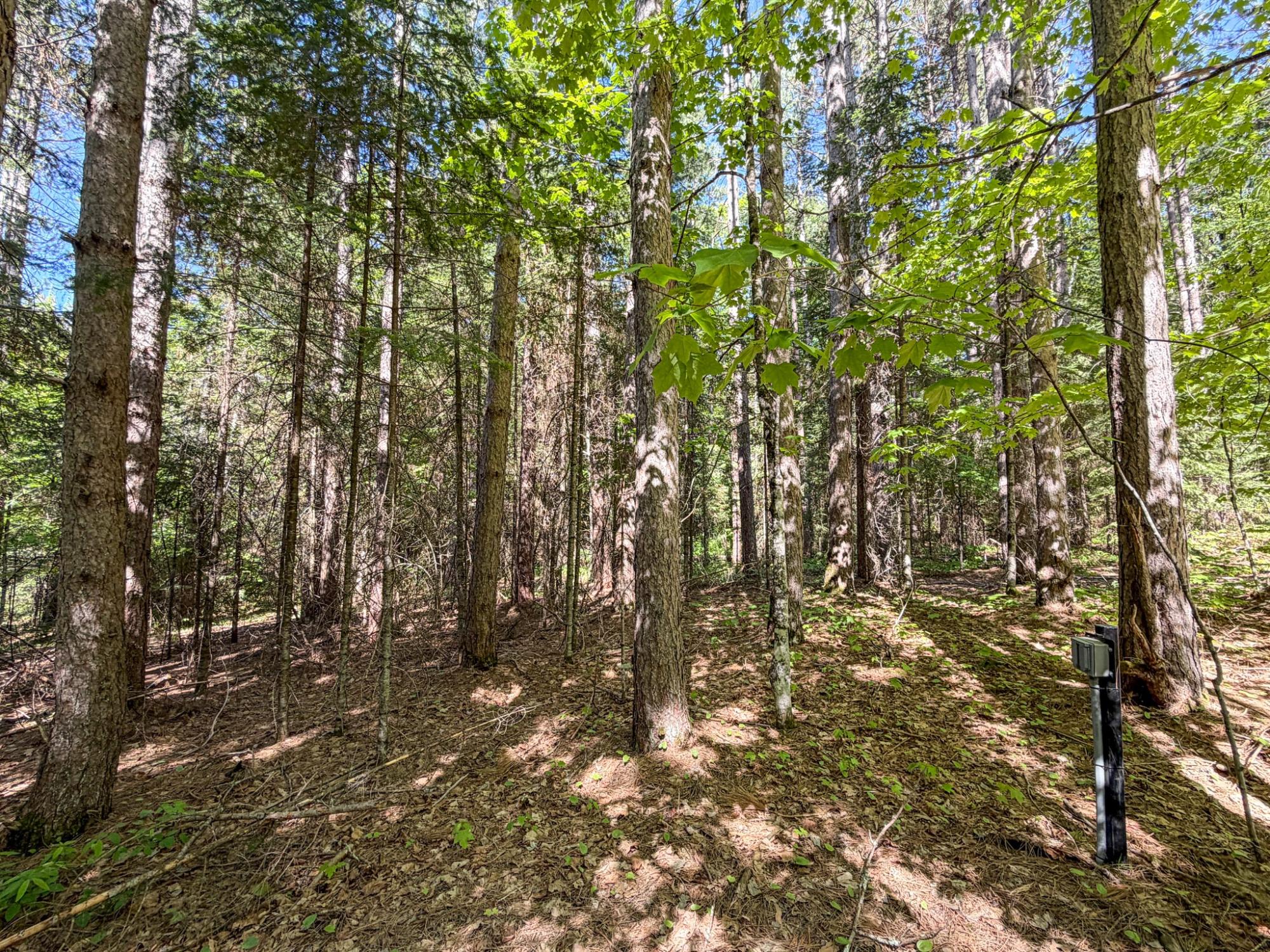 65916 Fischer Road Winter, WI 54896 - Photo 89 of 99