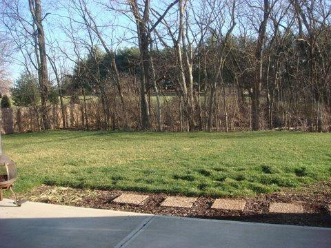 173 Whitman Way Georgetown, KY 40324 - Photo 49 of 49 Photo 49