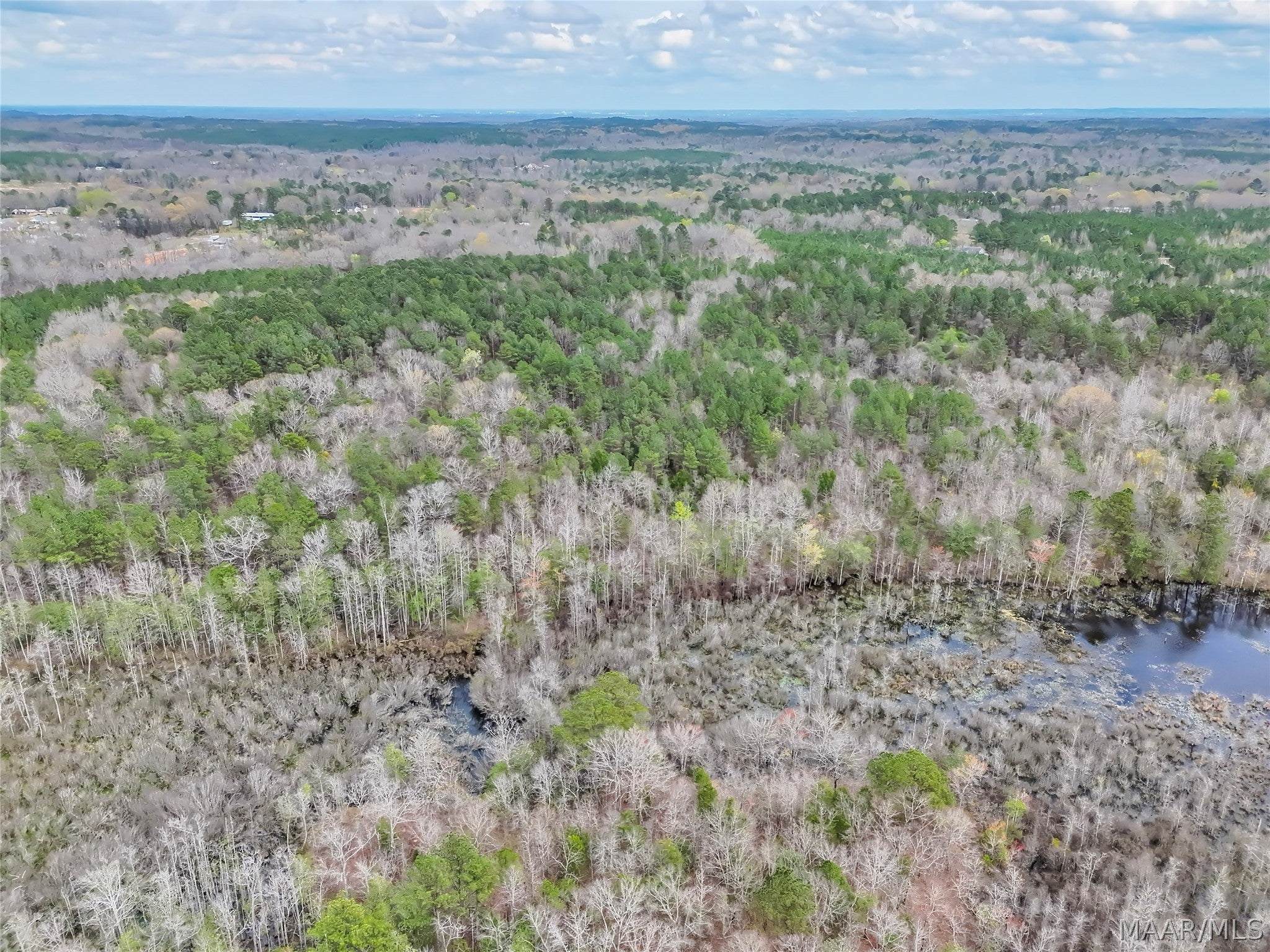 0 Brownin Road Ralph, AL 35480 - Photo 8 of 19 Gallery Image 8