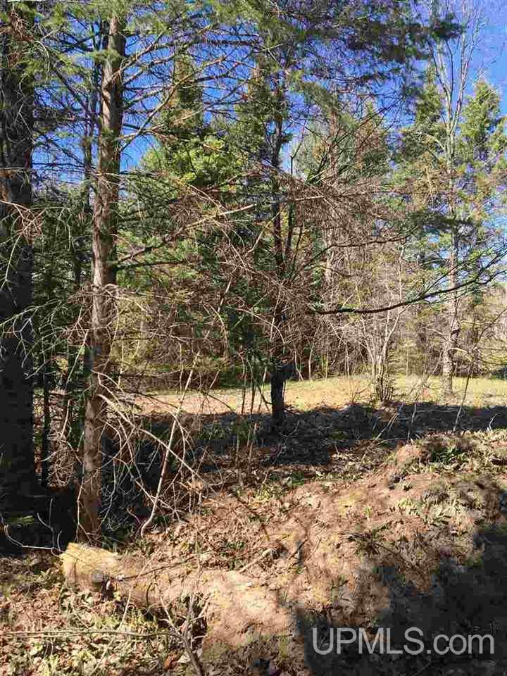Tbd Chapel Road Munising, MI 49862 - Photo 5 of 36