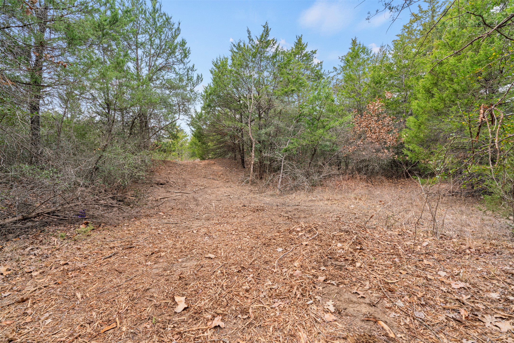330 County Road 330 Milano, TX 76556 - Photo 11 of 13