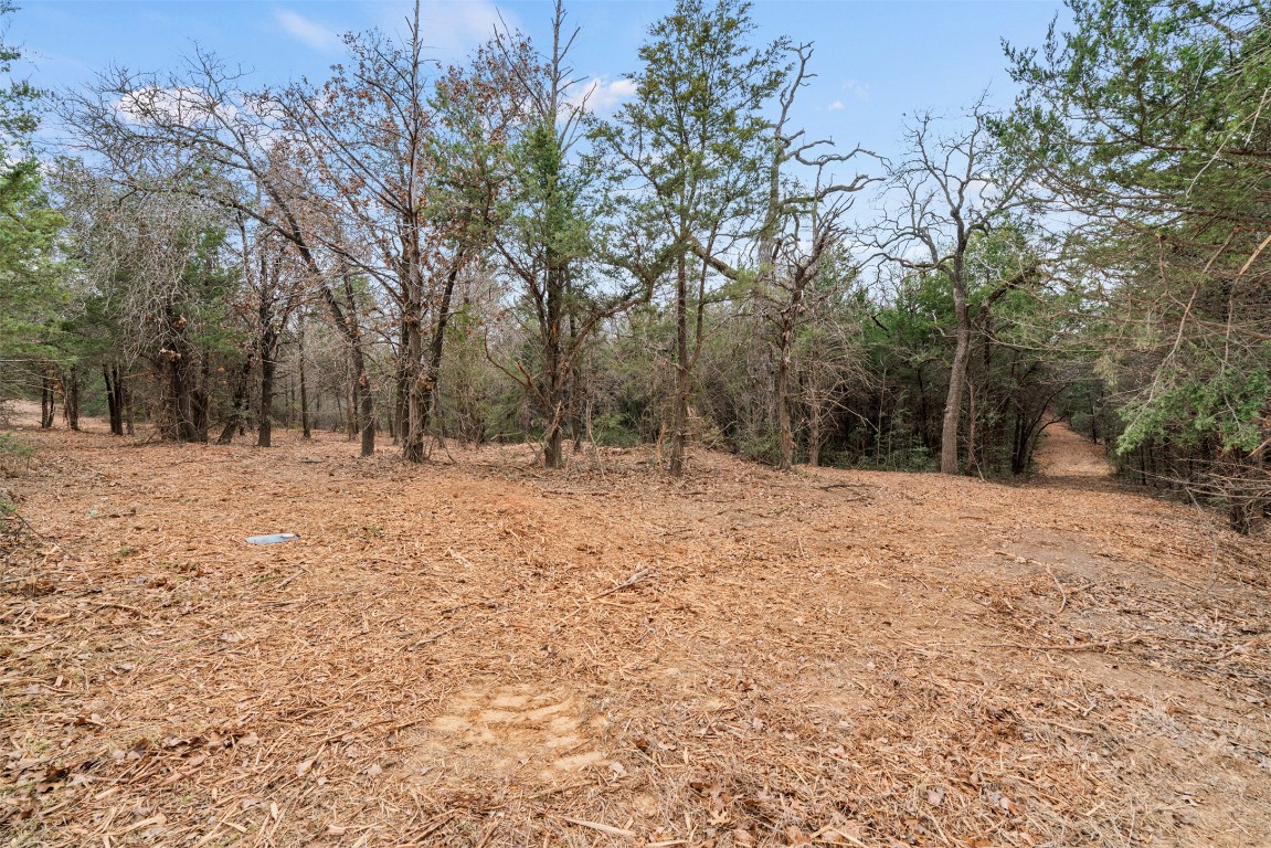 330 County Road 330 Milano, TX 76556 - Photo 3 of 14 a backyard of a house with trees